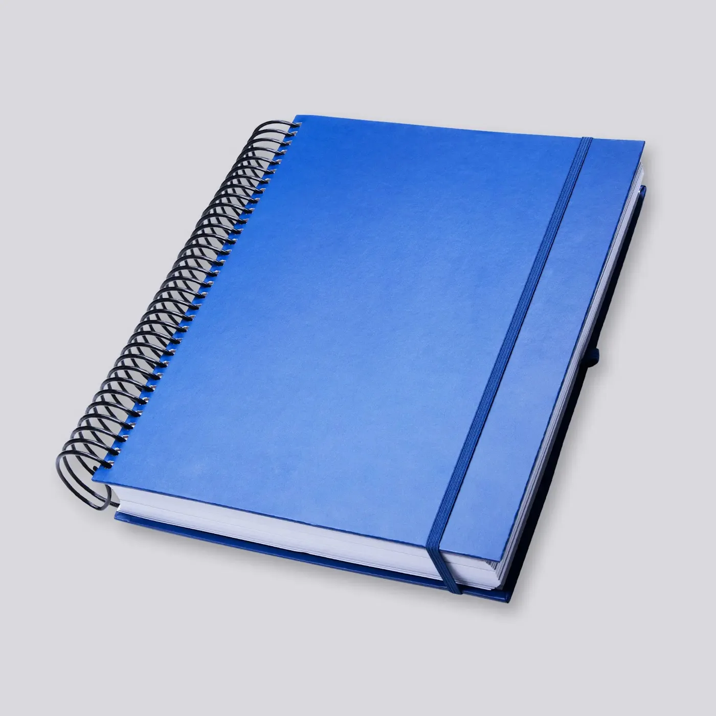ultimate personal planner by boss personal planner. blue cover